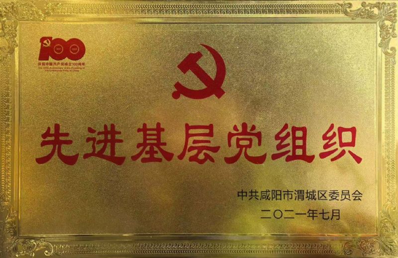 先进基层党组织