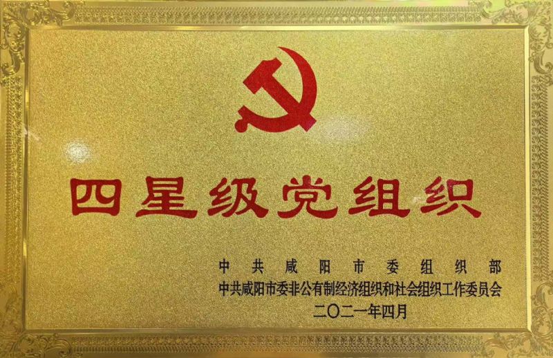 四星级党组织