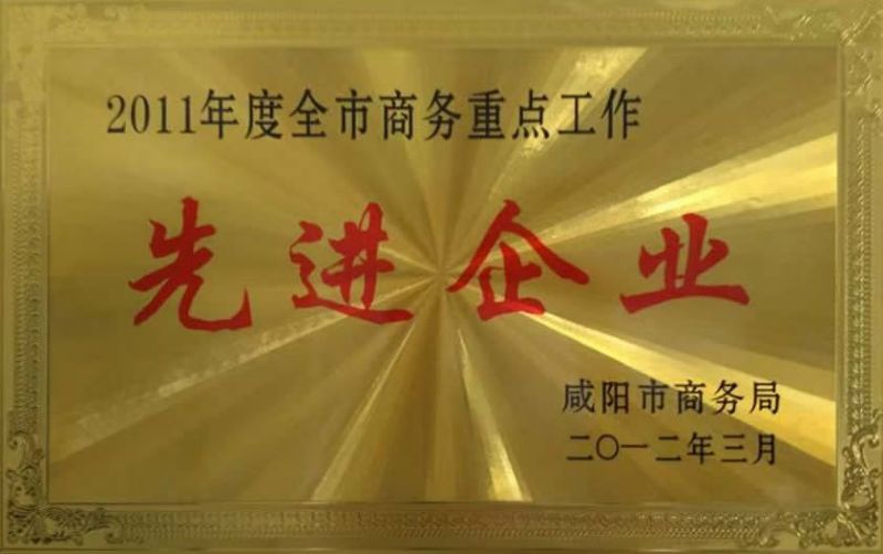 先进企业