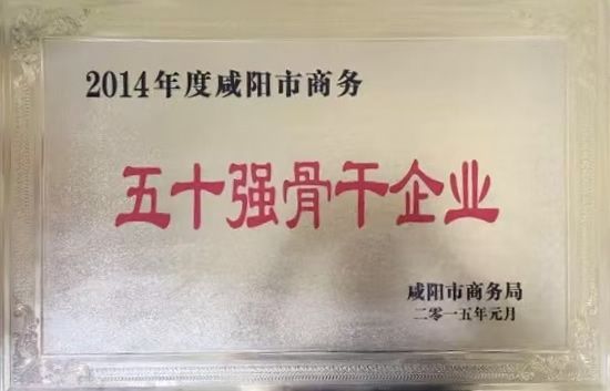 五十强骨干企业