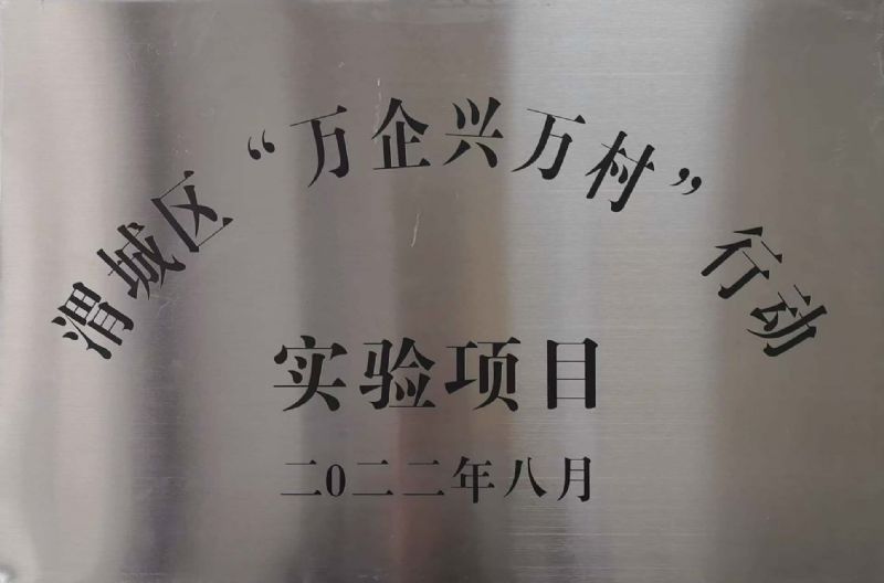 渭城区“万企兴万村”行动实验项目