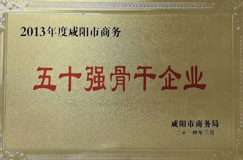 五十强骨干企业